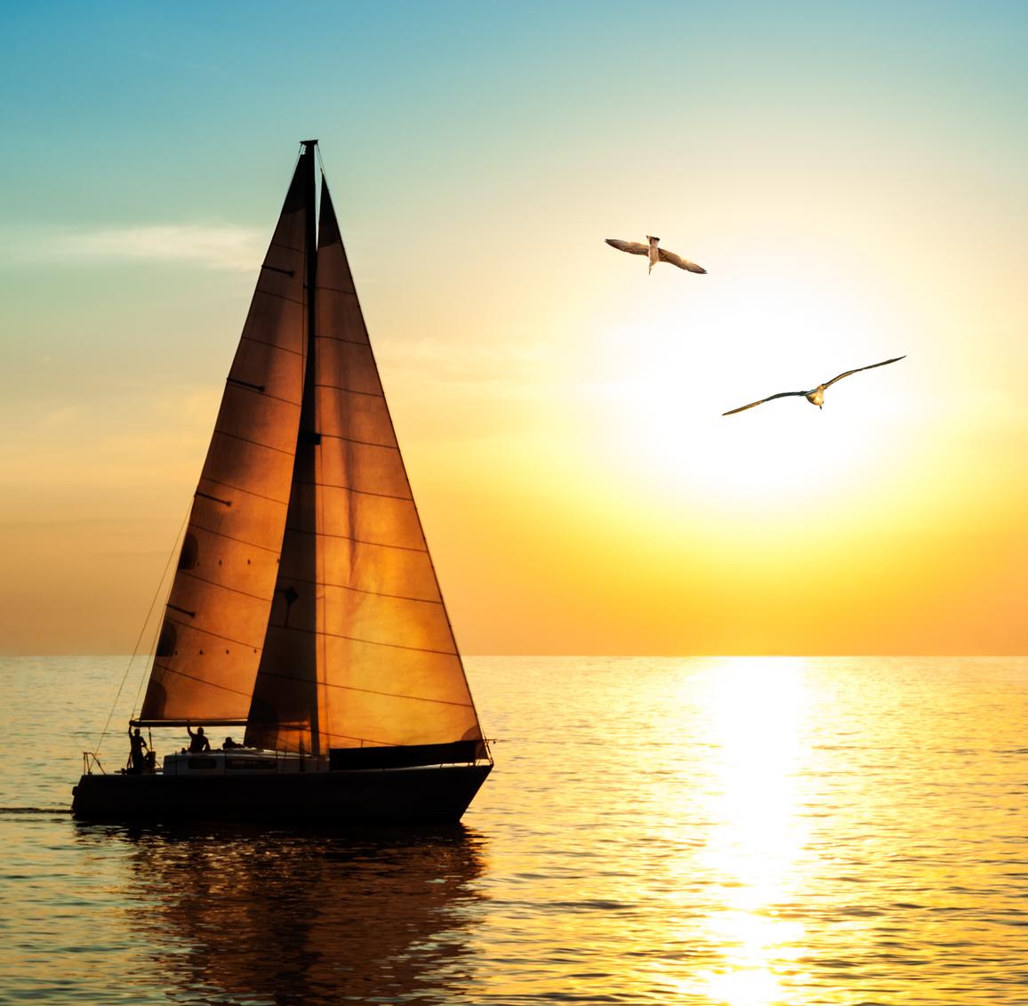 Sailboat at sunset with seagulls